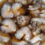 ミュンヘン協定とライブドアとナマコ酢。