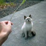 アウトドアを振り返る