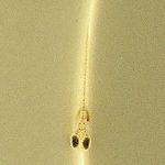 メダカの孵化