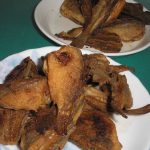 草津漁港で釣る！ part.7