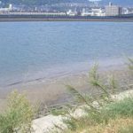 釣り場探訪 広島西飛行場編
