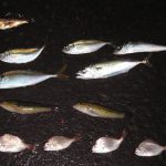初めての船釣りの巻。後編