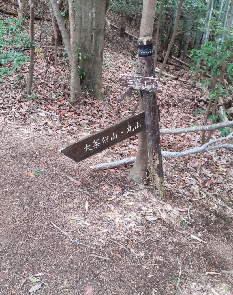 大茶臼山分岐